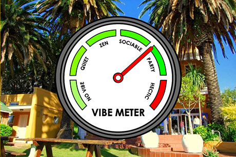 Vibe Meter gauge