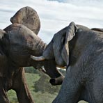 Backpacking Eswatini