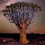 Backpacking Northern Cape Province