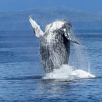 Backpacking the Overberg